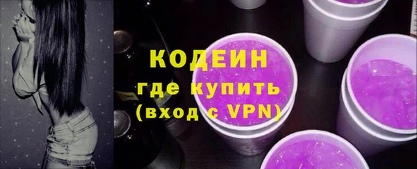 стаф Корсаков