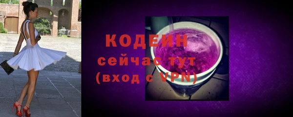 стаф Корсаков
