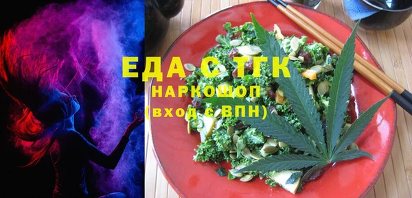 стаф Корсаков