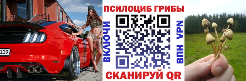 дарнет шоп Закаменск МЕГА вход Галлюциногенные грибы GOLDEN TEACHER