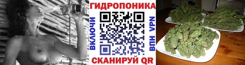 Каннабис ГИДРОПОН  Закаменск 